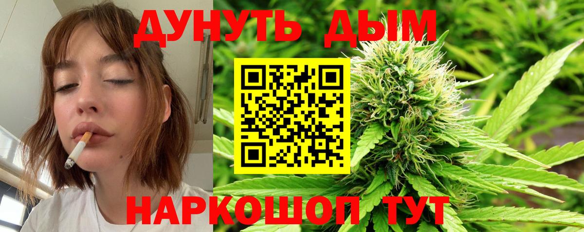 Шишки марихуана семена  Шишки марихуана Bruce Banner  Конопля тримм  Мурино  Вход с VPN 